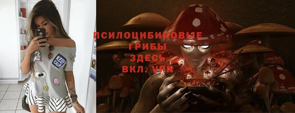 гидропоника Верея